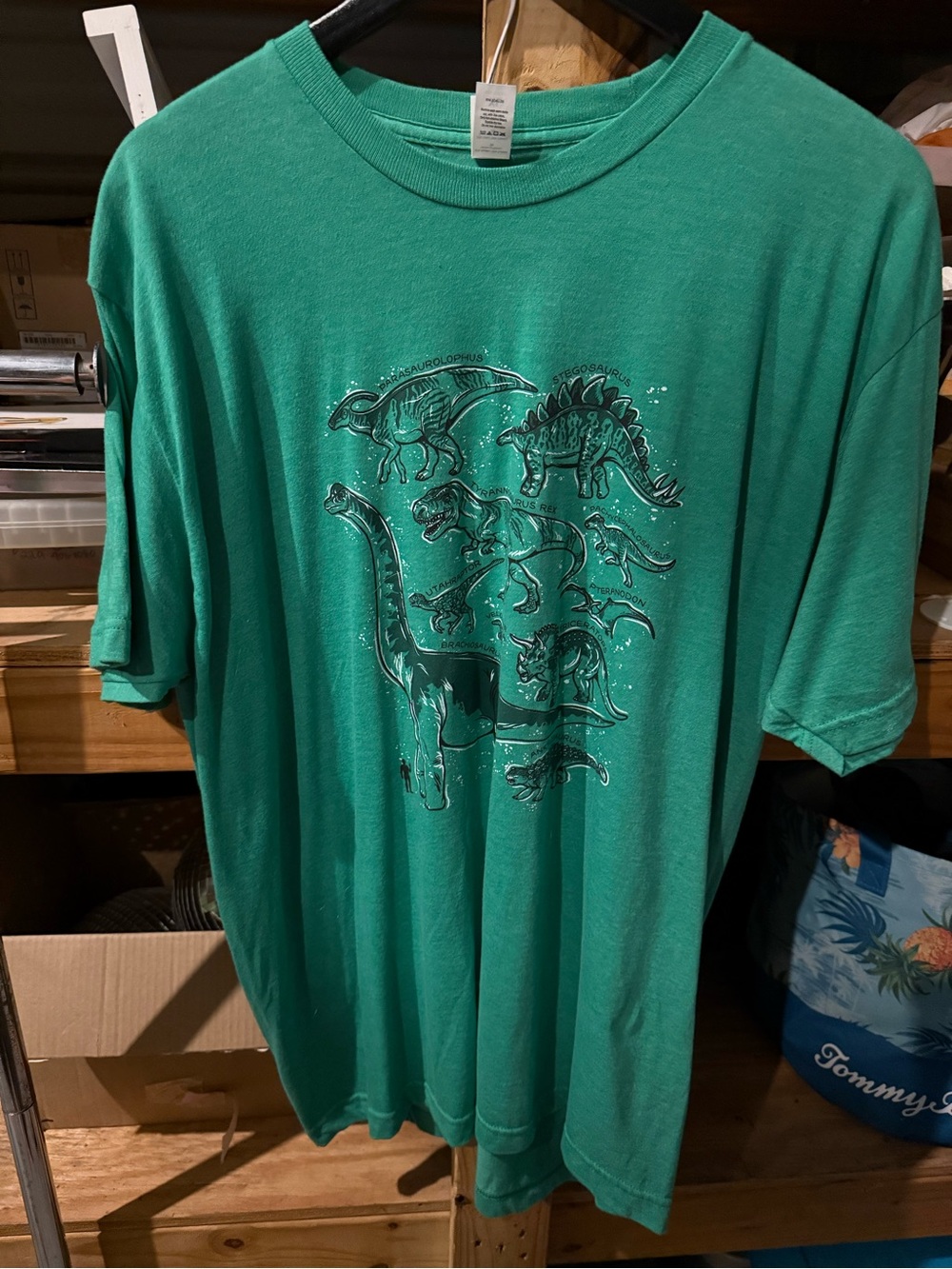 Tultex Green Short Sleeve T-Shirt with Dinosaur Graphic